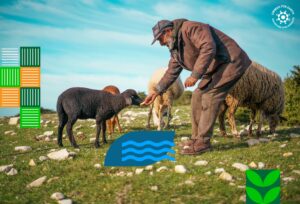 من الإفطارات الخضراء إلى الحِمى: دعوة إيمانية لحماية مواردنا المُجتمعيّة المشتركة